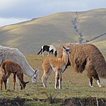 Photo taken by Marcia G