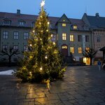 Photo taken by Melanie K