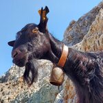 Photo taken by Natalya R