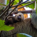 Photo taken by Wilbert A