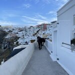 Photo taken by Janice R