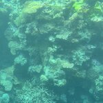 Photo taken by Hari R