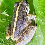 Photo taken by Ben B