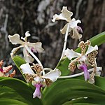 Photo taken by Linda M