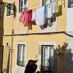 Photo taken by Vivian W