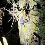 Photo taken by Kakoli K