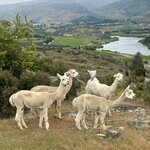 Photo taken by Emily H