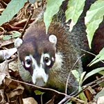 Photo taken by KLAUS A