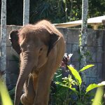 Photo taken by Nicholas P