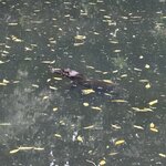 Photo taken by Brooke M