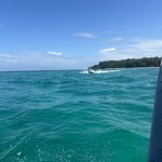 Photo taken by James B