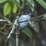 Photo taken by Graham D