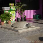 Photo taken by Joyce C