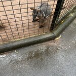 Photo taken by Cindy H