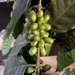 Photo taken by Kate R