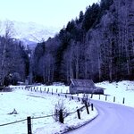 Photo taken by Diane C