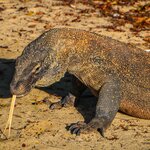 Photo taken by Uriah C