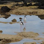 Photo taken by Natascia V