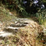 Photo taken by Wayne D