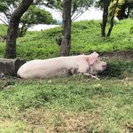 Photo taken by Sandra R