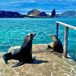 Photo taken by Katherine A