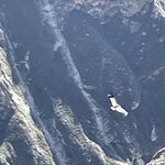 Photo taken by Alpa M