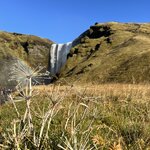 Photo taken by Carrie A