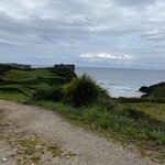 Photo taken by Liz S