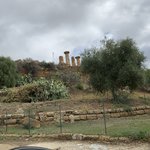 Photo taken by Judi W