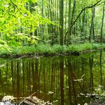 Photo taken by Eric T