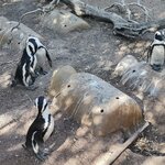 Photo taken by Crystall P