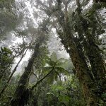 Photo taken by Patrice G