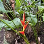 Photo taken by Trish G