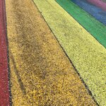 Photo taken by Connie P