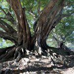 Photo taken by Jane V