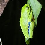 Photo taken by Jonathan S