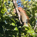 Photo taken by Blair H