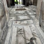 Photo taken by Megan E