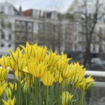 Photo taken by Shannon F