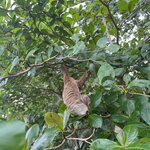 Photo taken by Tiphanny C