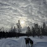 Photo taken by Marianne B