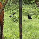 Photo taken by Breann B