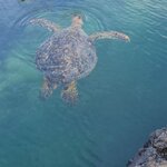 Photo taken by Patricia D