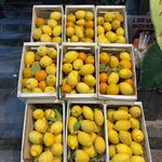 Photo taken by Judi S