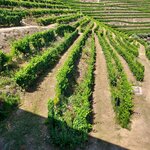 Photo taken by Judith F