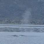 Photo taken by Rob G