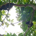 Photo taken by Brett F