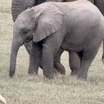 Photo taken by Martin D