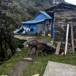 Photo taken by yancey A