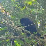 Photo taken by Lisa R